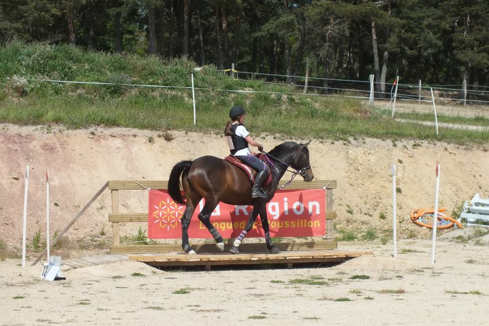 TREC